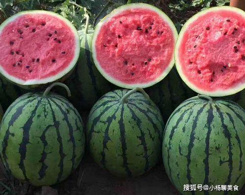 不舍昼夜吃瓜娱乐